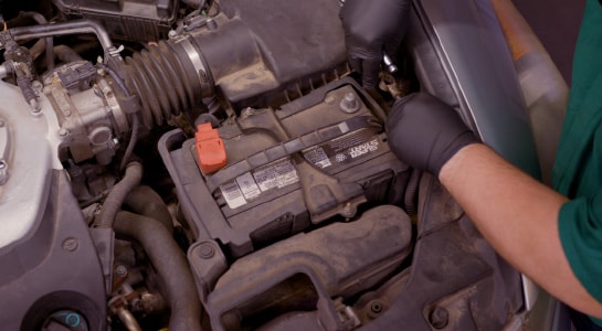 Professional Parts Person Disconnecting the Battery