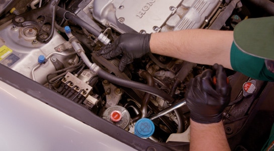 Professional Parts Person removing the Serpentine Belt