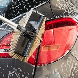 Brush on back of car