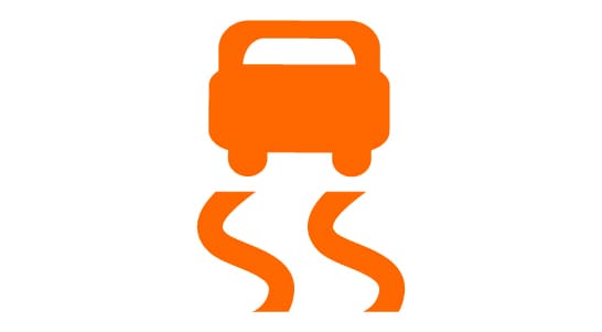 Traction Control Light