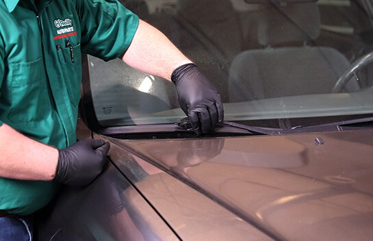 Step 4: Carefully Lower the Blade