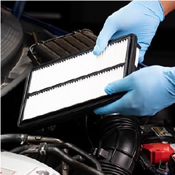 Oiled Air Filters Vs. Conventional Air Filters