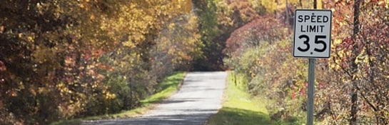 Drive the Posted Speed Limit