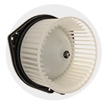 Blower Motors